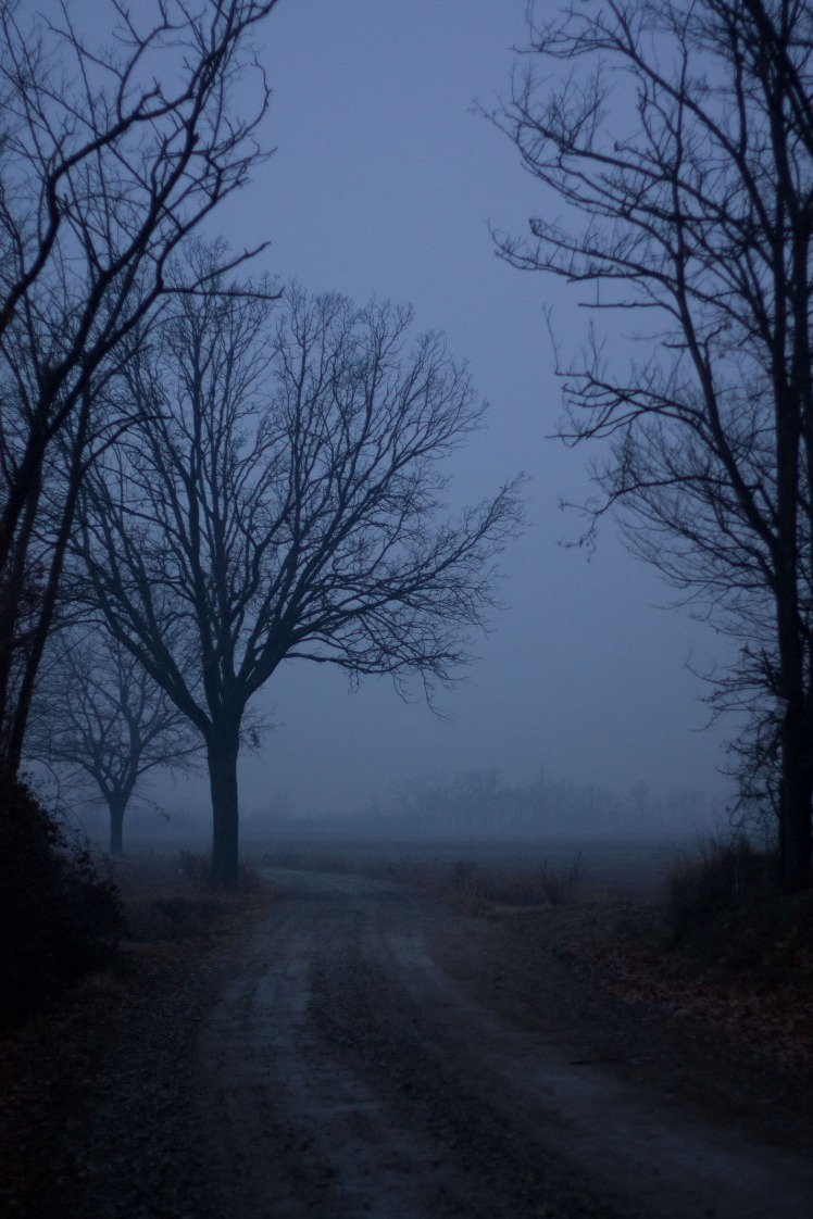 dark web markets reddit