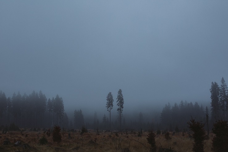 dark web search engines 2023