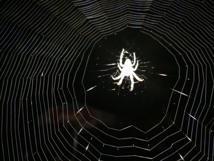 websites on the dark web