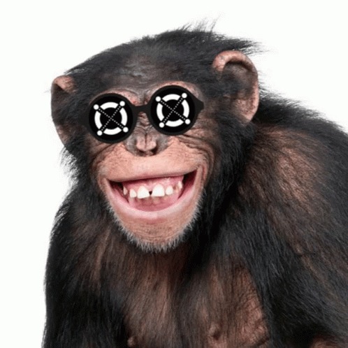 monkey xtc pill