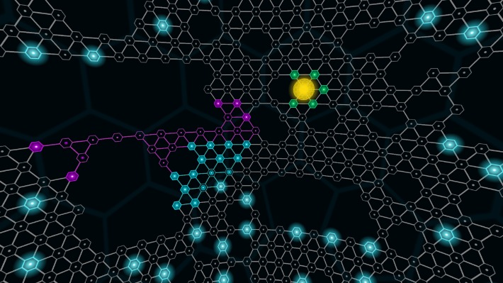 fullz darknet market