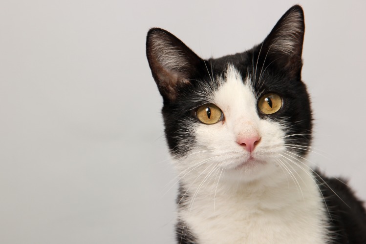 black market drugs guns