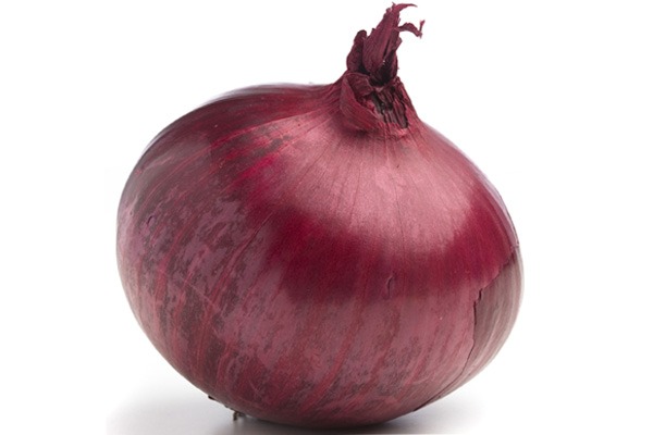 onion links credit card