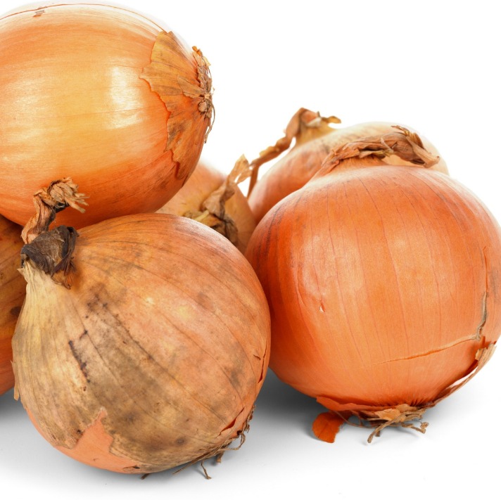 onion links credit card