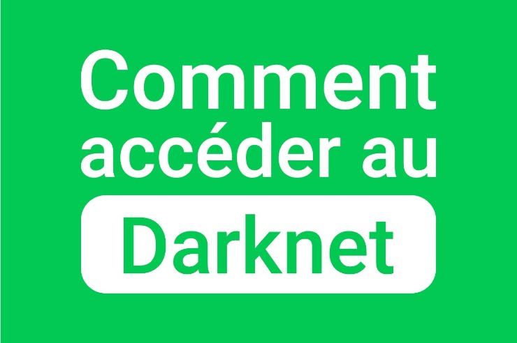 darknet market vendor guide