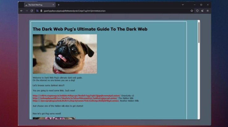 how to access the dark web with tor