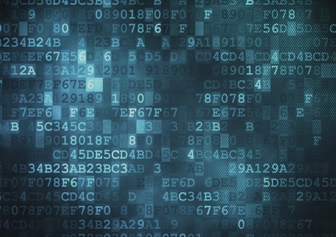 best darknet market australia