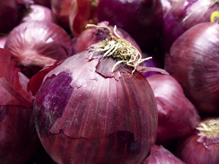onion deep web wiki
