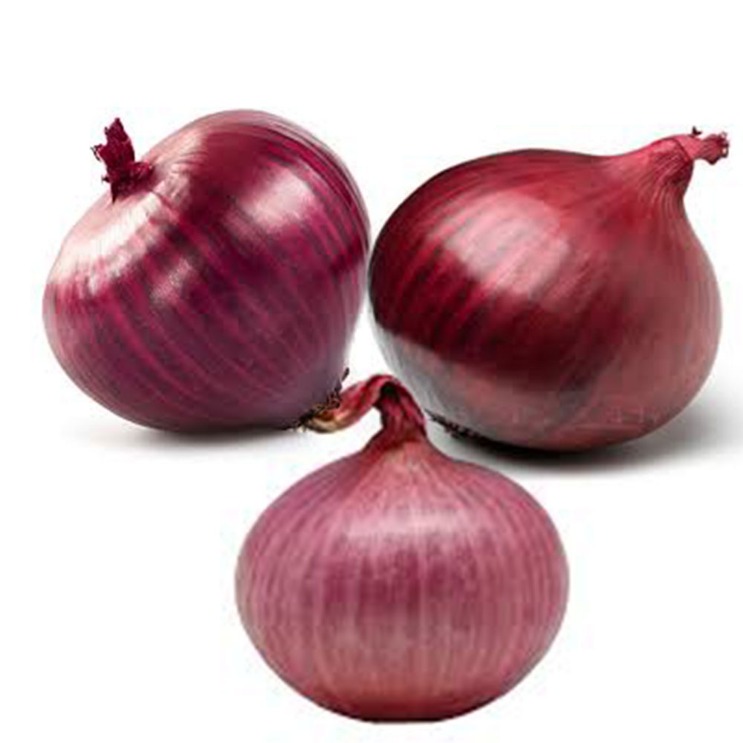 onion link