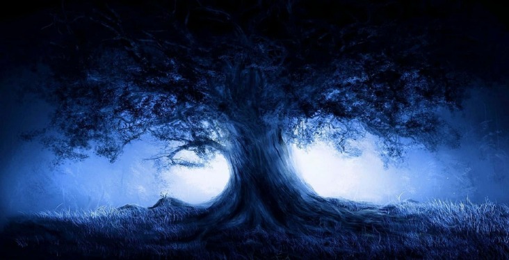 dark web drugs ireland