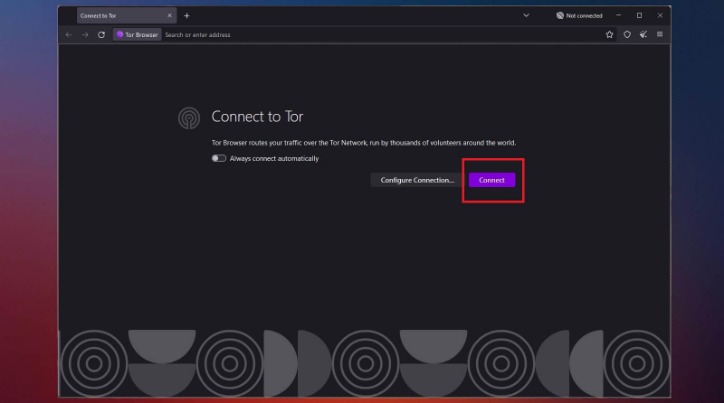 how to access the dark web on pc