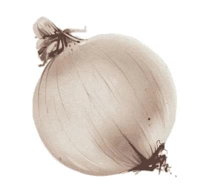 dark web onion links