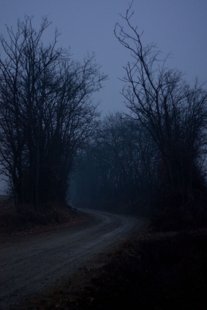 dark markets iceland