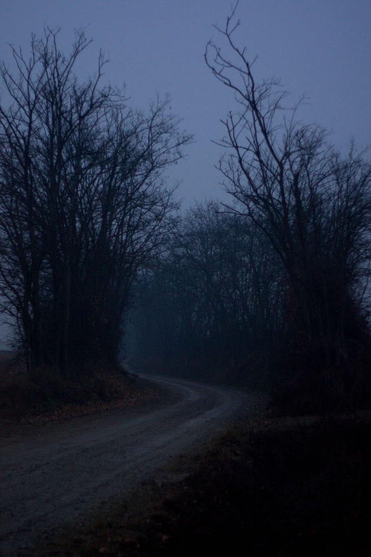 dark net market links 2025