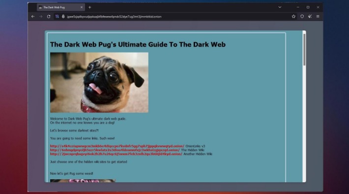 how to access the dark web