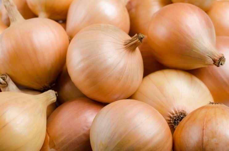 onion links sites