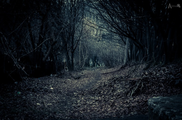 dark web markets reddit 2025