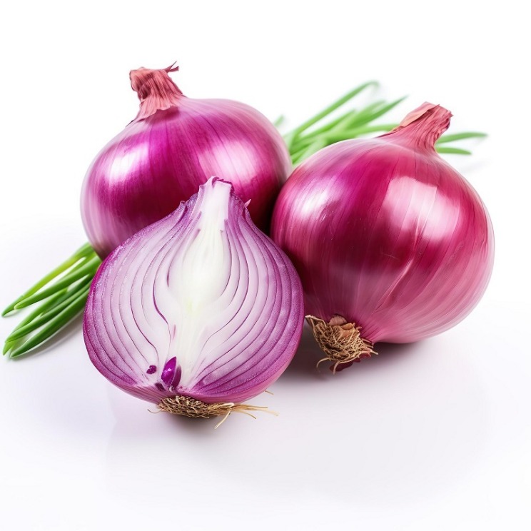the onion directory