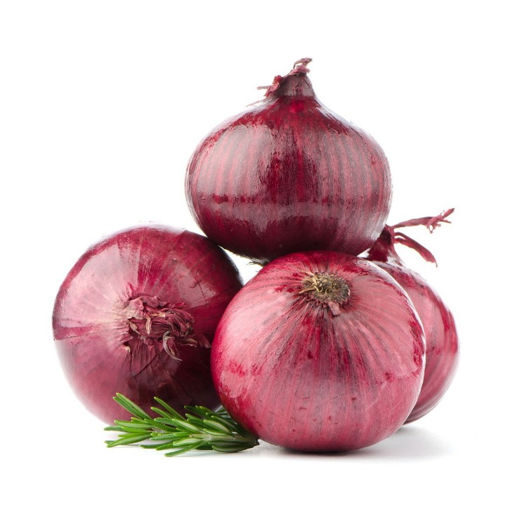 the onion directory