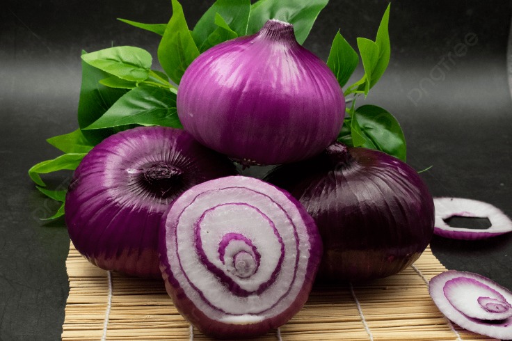 the onion directory