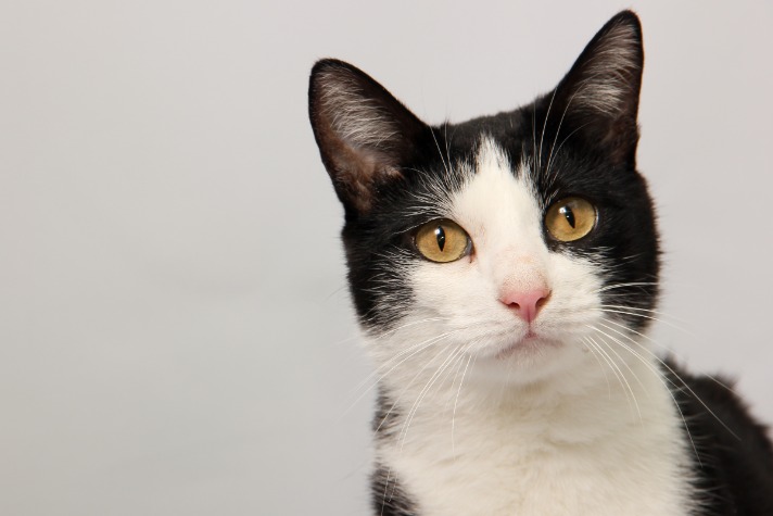 black market websites tor