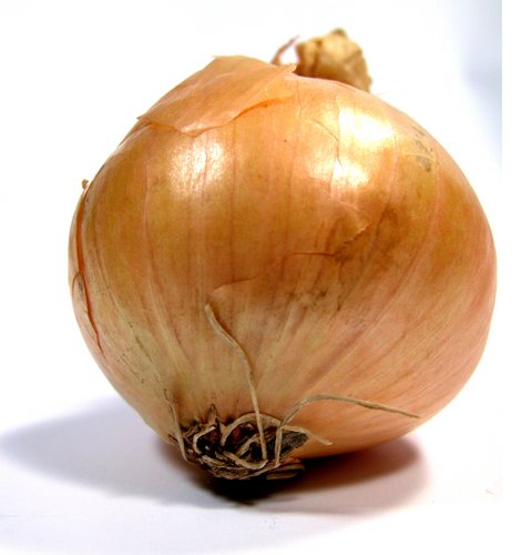 onion directory