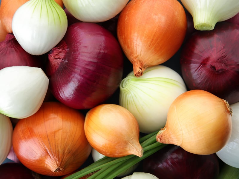 onion websites for credit cards