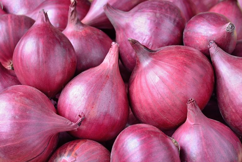 onion links for deep web
