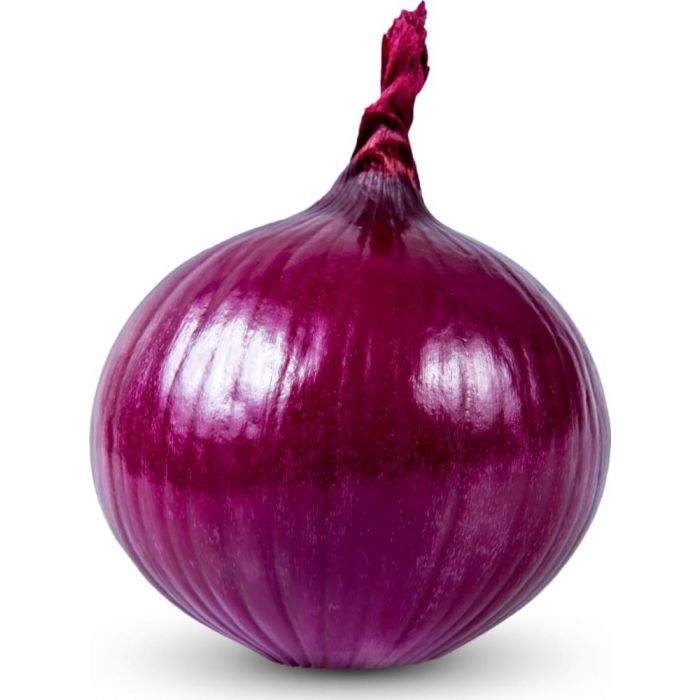 onion links