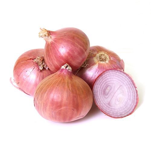 onion links credit card