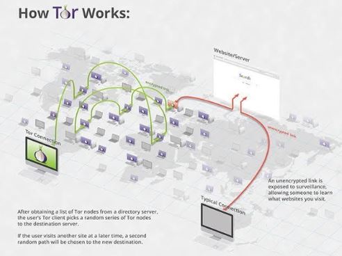 how to access the dark web with tor