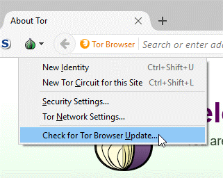 how to access the dark web safely